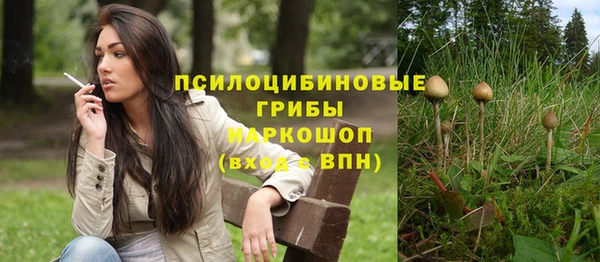 синтетический гашиш Алексеевка