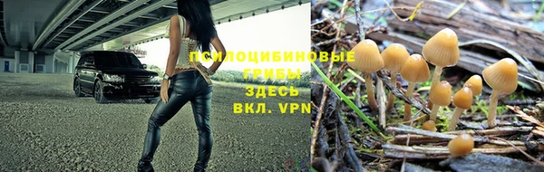 сатива Надым