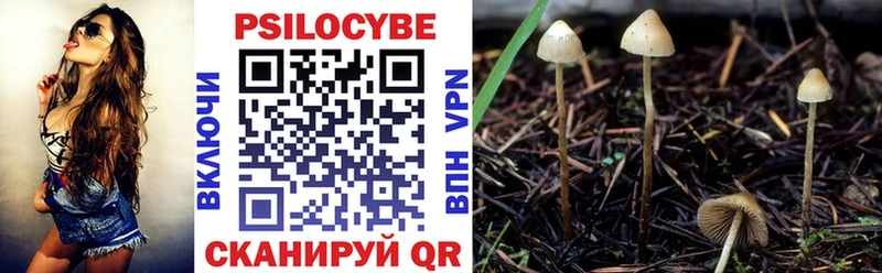 ОМГ ОМГ сайт купить Павловская Псилоцибиновые грибы Cubensis